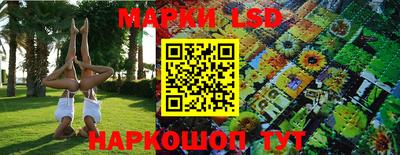 spice Ставрополь