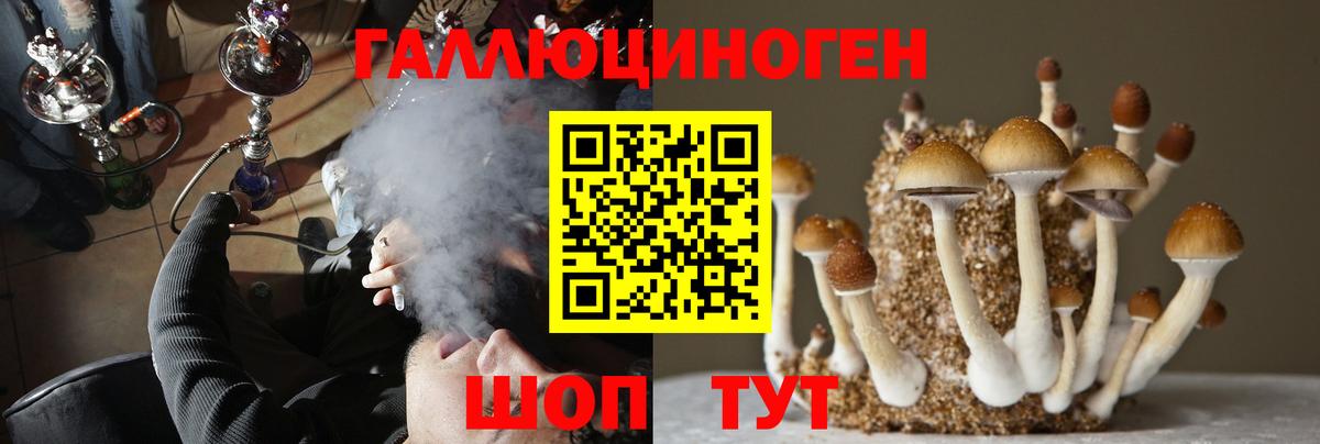 Галлюциногенные грибы мухоморы  Псилоцибиновые грибы Cubensis  Прокопьевск  Вход с VPN 